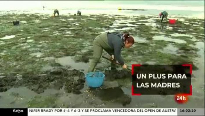 Parlamento - Resumen del 20/02/2021