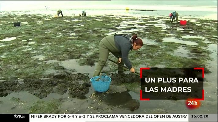 Parlamento - Resumen del 20/02/2021