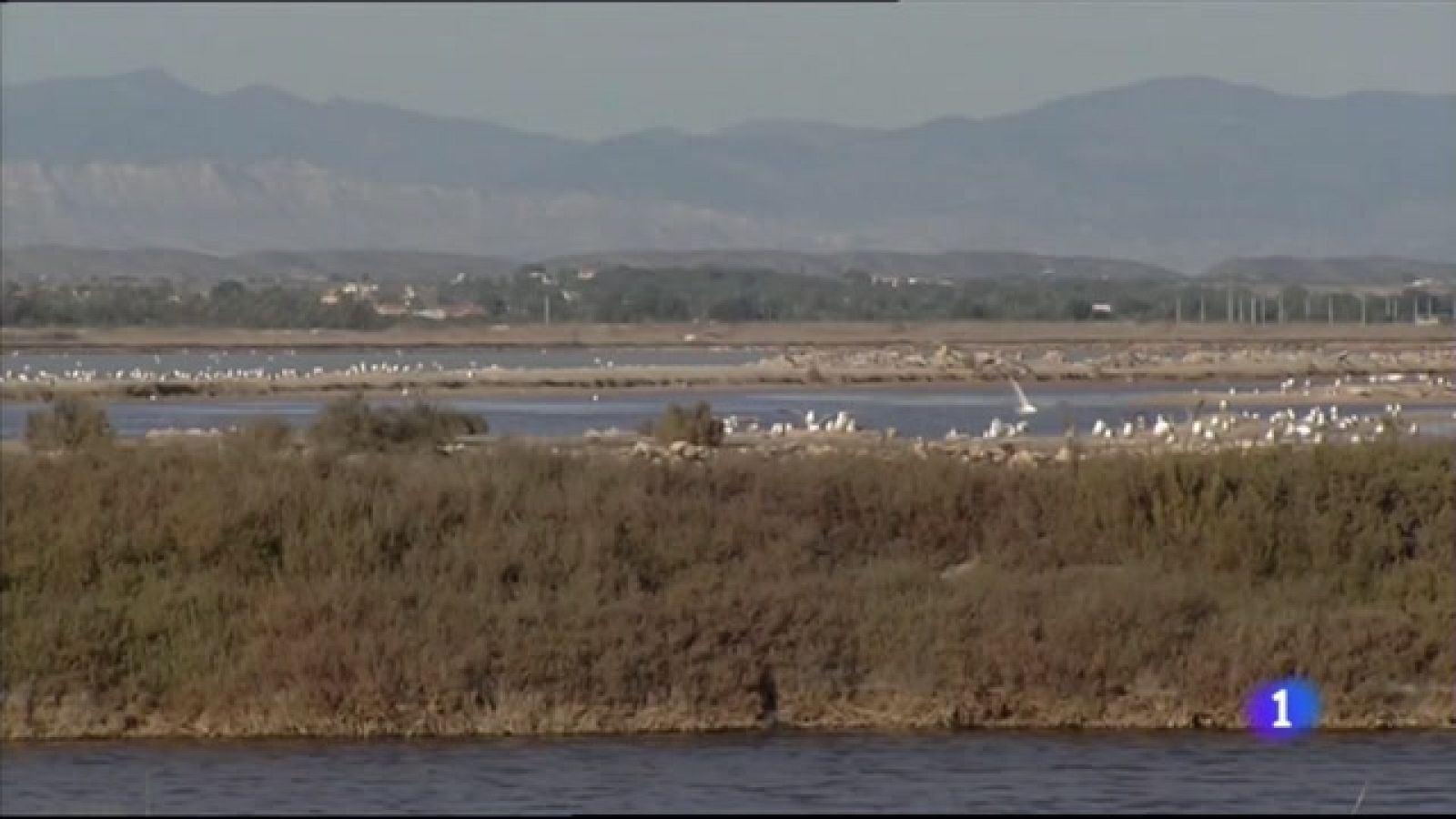 L'Informatiu Comunitat Valenciana 2 - 22/02/21 ver ahora
