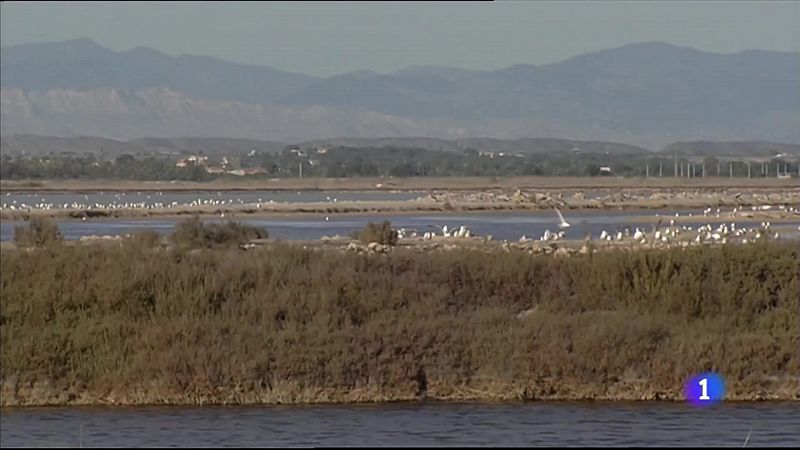 L'Informatiu Comunitat Valenciana 2 - 22/02/21 ver ahora