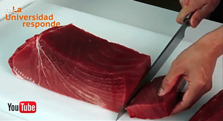 ¿Es malo comer mucho atún?