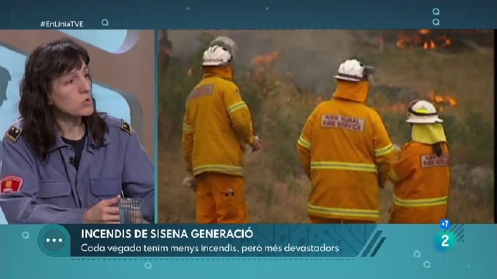 Incendis i zones desforestades | En Línia - RTVE Catalunya