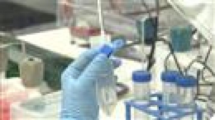 Telecanarias - Telecanarias - 23/02/2021