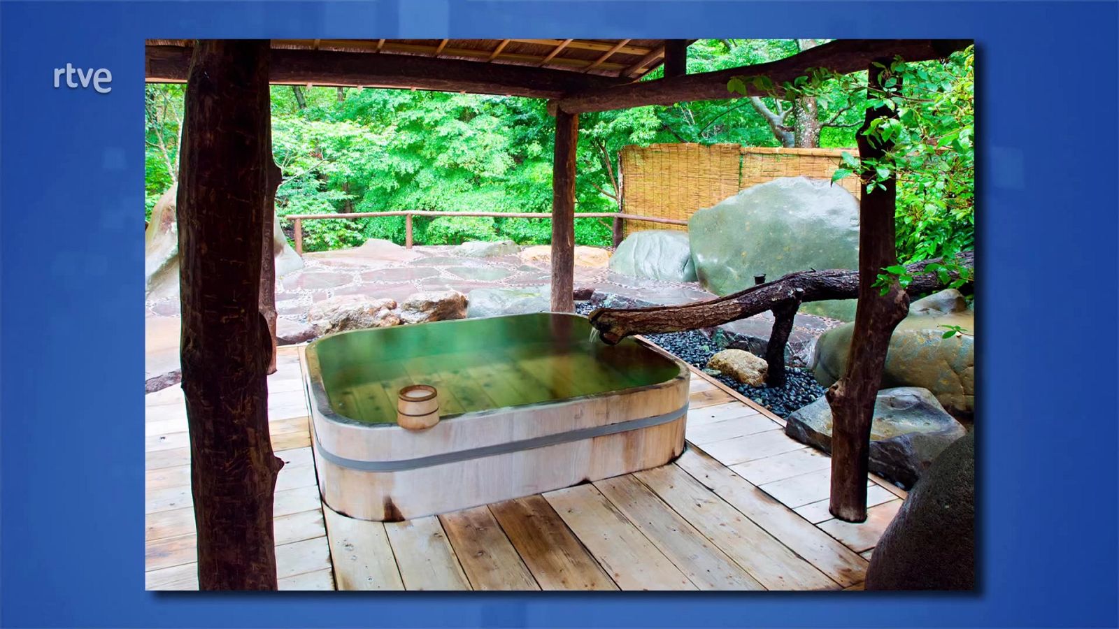 Saber y ganar - 09/02/21 - ver ahora