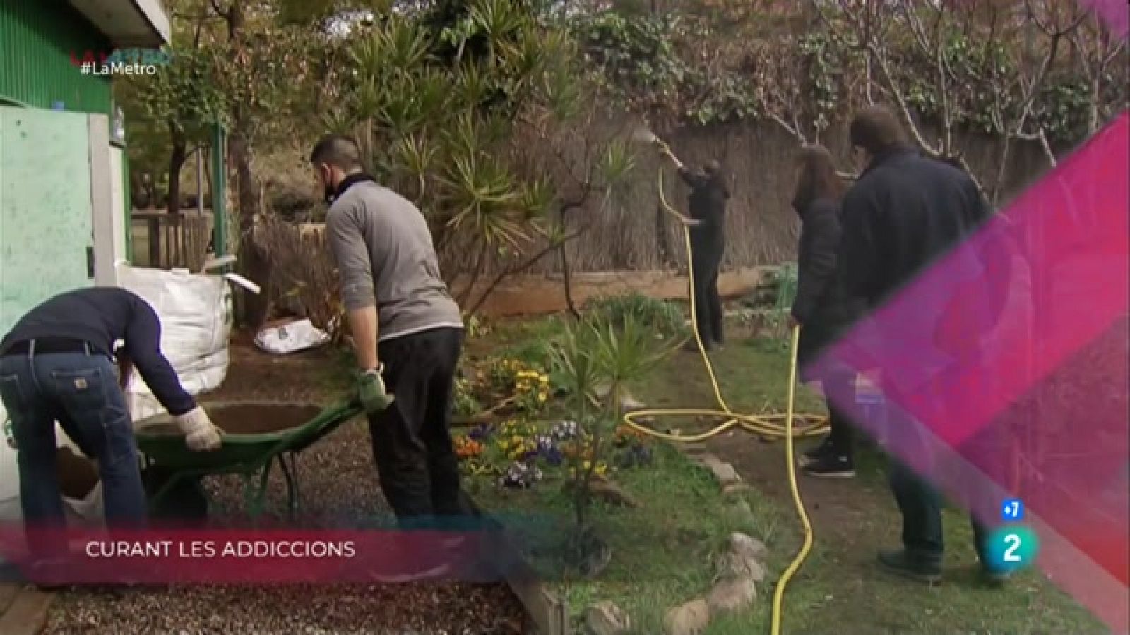 Curant les addiccions, Teràpia amb cavalls i Mercat setmanal en temps de pandèmia a La Metro