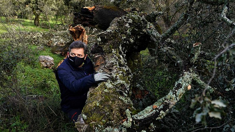 La UE se reúne para mitigar las consecuencias del cambio climático