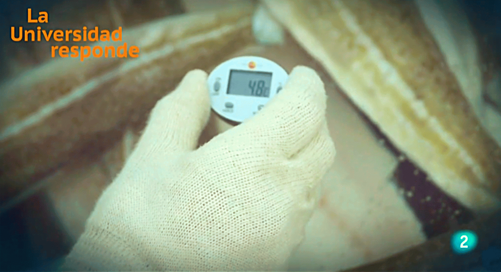 La aventura del saber ultrasonidos para alargar vida del pescado #AventuraSaberUResponde Zaragoza Universidad Responde