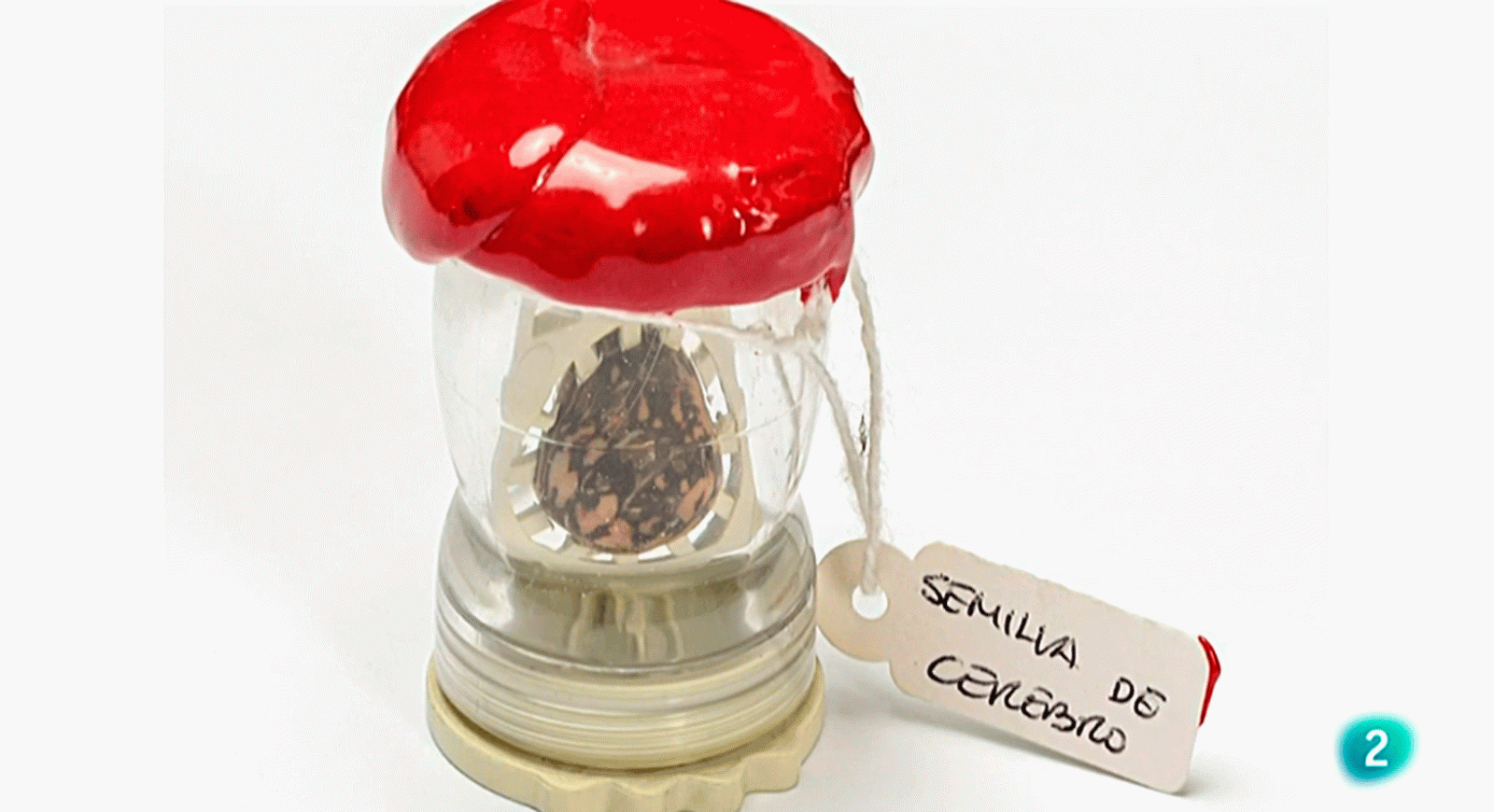 La aventura del saber Boek visual Javier Seco arte poesia visual #AventuraSaberArte