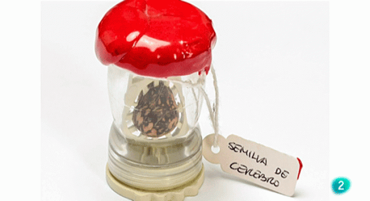 La aventura del Saber - Boek visual: Javier Seco