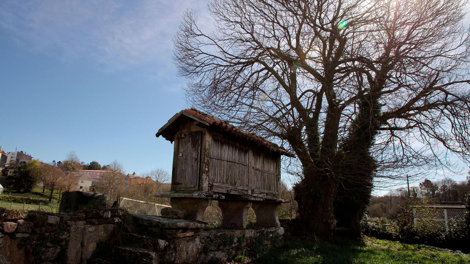 Intervalos de viento fuerte del nordeste en el litoral gallego y Canarias - Ver ahora