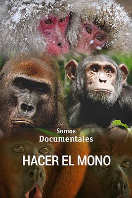 Somos Documentales - Hacer el mono