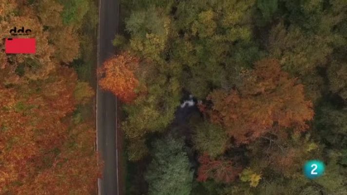 Días de cine - Otros estrenos: 'Dónde está Mikel' y 'Érase una vez en venezuela'