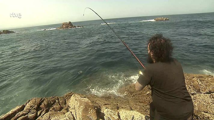 Jara y sedal - Con la mirada puesta en el mar