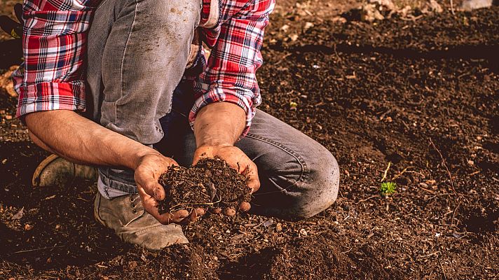 Telediario 1 - La digitalización agiliza los trámites a los agicultores a la hora de solicitar las ayudas de la PAC