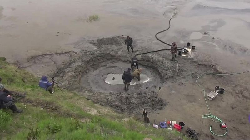 Rusia empieza a analizar esqueletos de animales prehistóricos para prevenir posibles pandemias del futuro