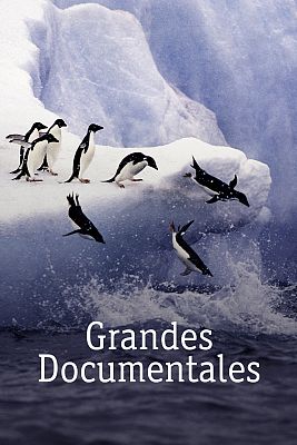 Supersentidos. Fuerzas especiales - Super sentidos. Fuerzas especiales: Los Seals de la marina