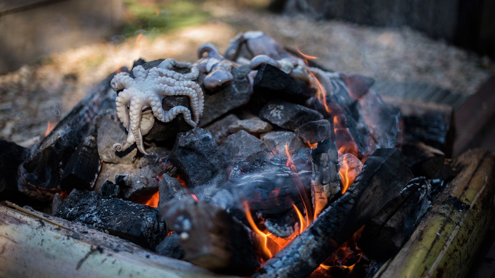 Expedición culinaria: cocinar con fuego - Episodio 10: Operación barbacoa  - ver ahora