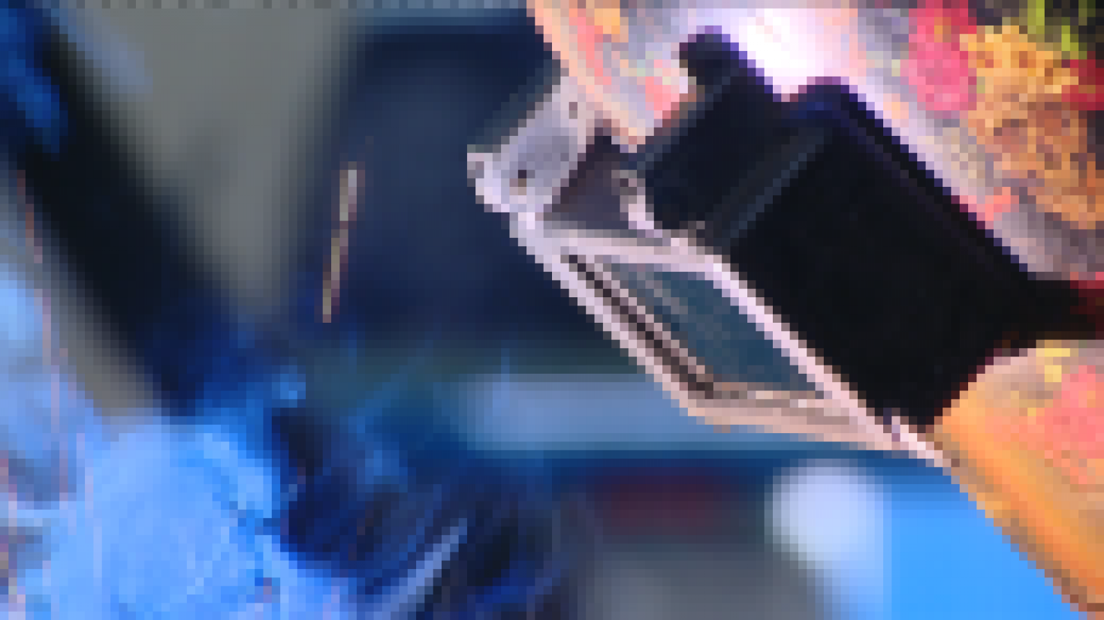 Telecanarias 2 - 02/03/2021 | Ver