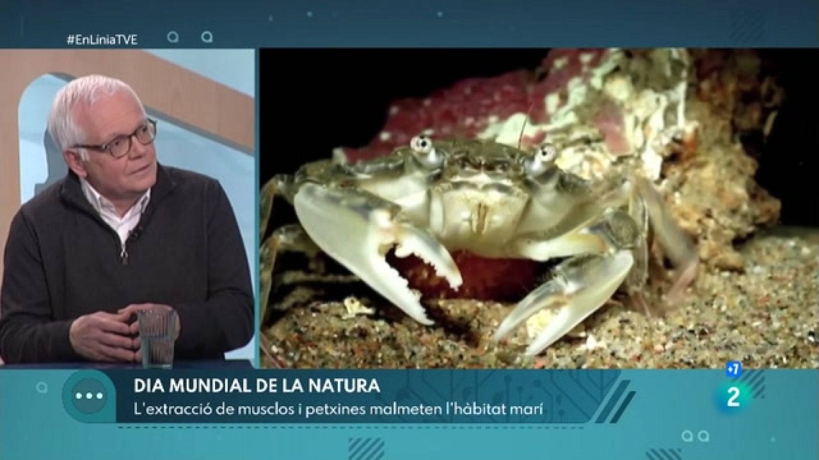 La preservació de les espècies marines | En Línia - RTVE Catalunya