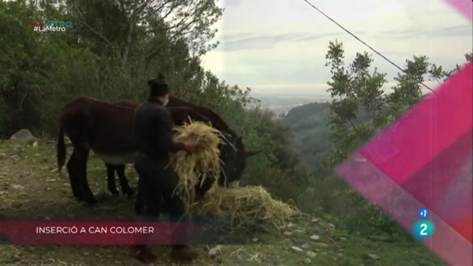 Inserció a Can Colomer, Circ social i Repartiment sostenible | La Metro - RTVE Catalunya