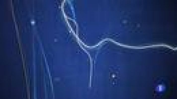 Noticias Murcia - Noticias Murcia 2 - 04/03/2021