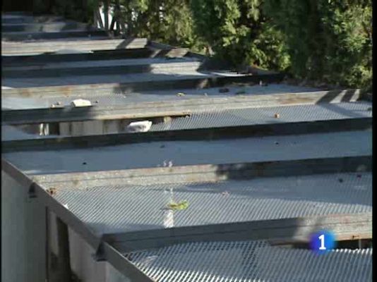  - ¿Quién paga los destrozos?