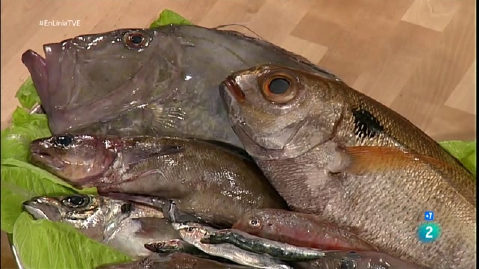 Sabem cuinar bé el peix? | En Línia - RTVE Catalunya