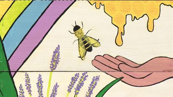 Telecanarias - Telecanarias 2 - 04/03/2021