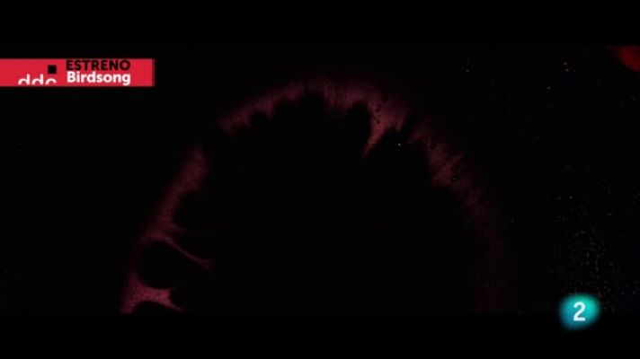 Días de cine - 'Birdsong'