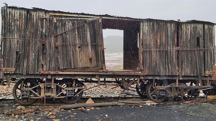 El escarabajo verde - Paisajes subjetivos