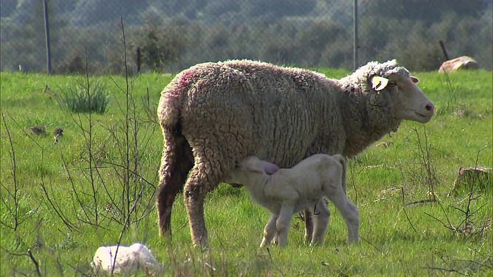 Agrosfera - Agrosfera - 06/03/21