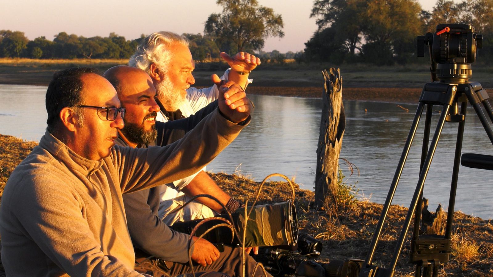 Los Image Catchers - En busca de las garzas perdidas - Documental en RTVE