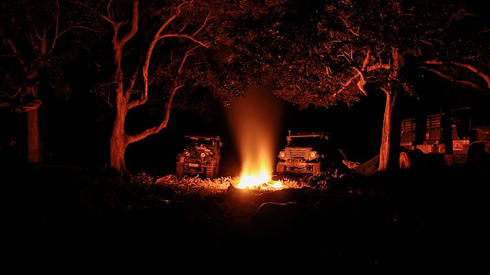 Los Image Catchers - En busca de las garzas perdidas 2