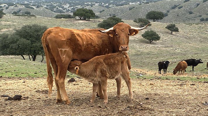 Tendido cero - Tendido cero - 06/03/21