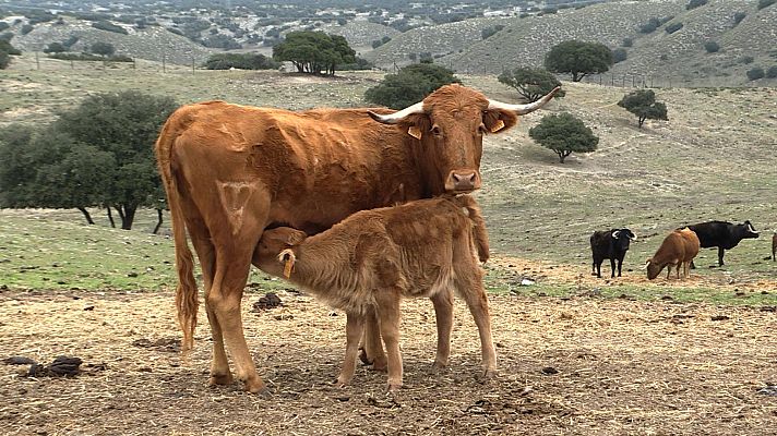 Tendido cero - Tendido cero - 06/03/21