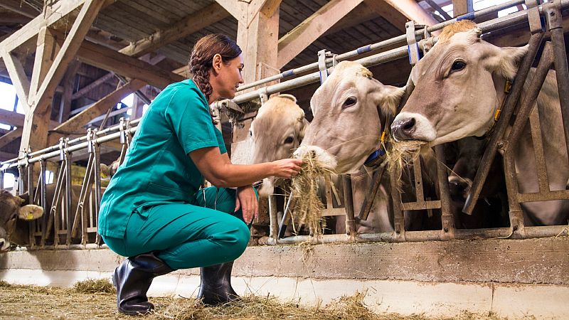 Emprender en el ámbito rural, un reto para muchas mujeres