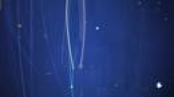 Noticias Andalucía - Noticias Andalucía - 08/03/2021