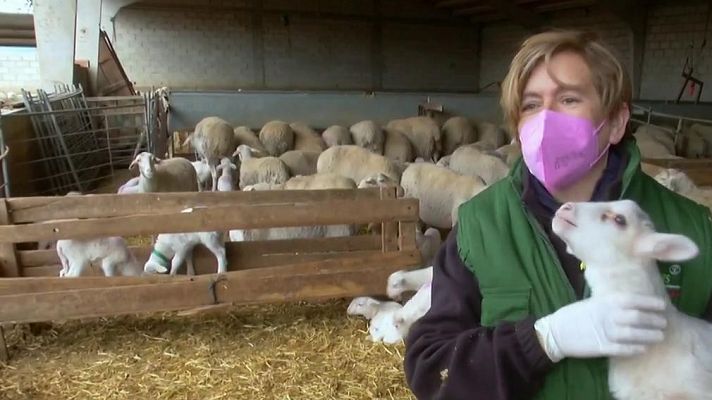 Mujeres en el campo: una lucha por la igualdad