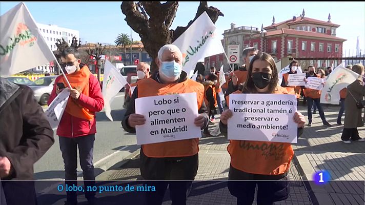 Telexornal - Galicia - Os gandeiros protestan pola protección especial do lobo