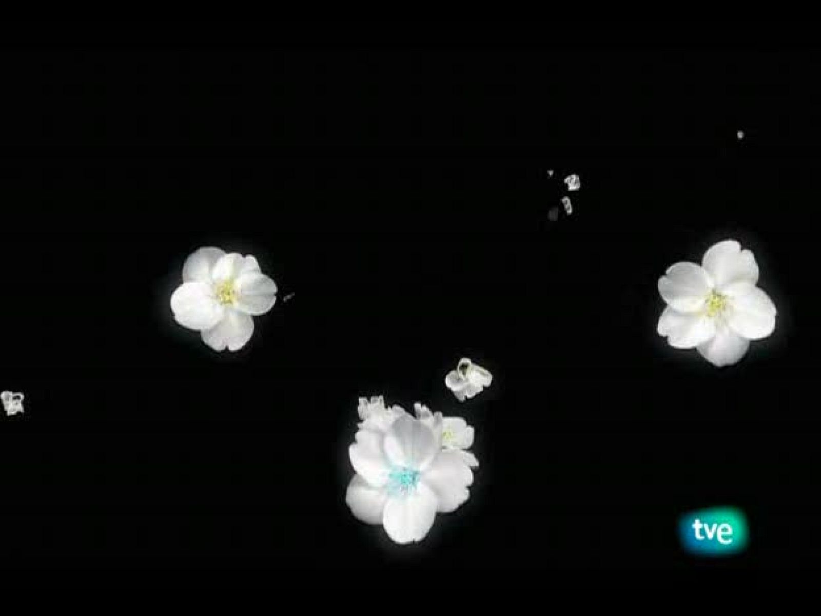 El jardín de los sueños - El Jardín de los Sueños | Ver