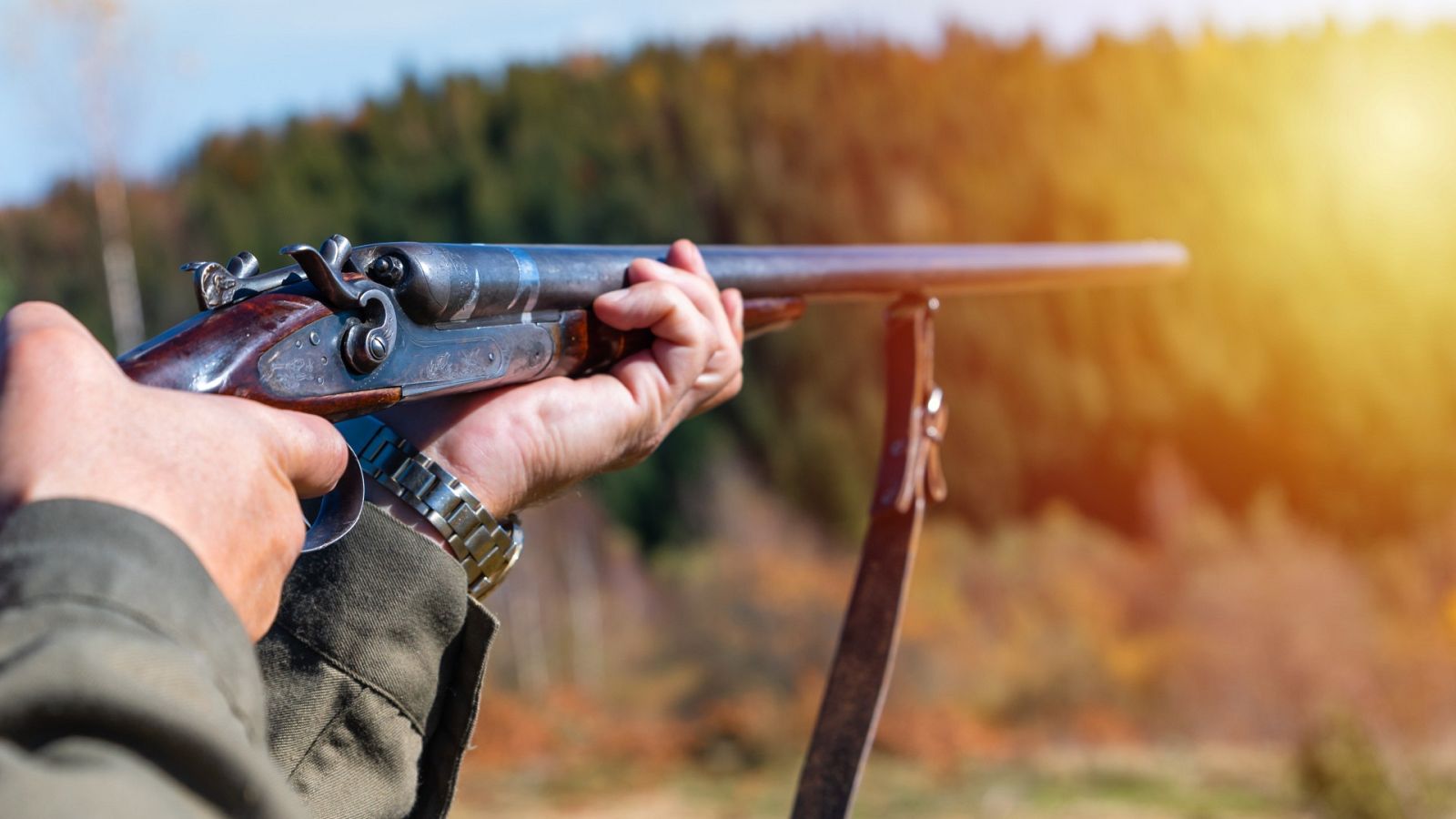 El furtivismo pone en jaque en España a muchas especies como el lince ibérico