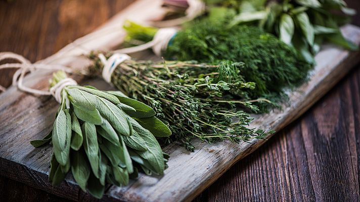 El mejor ambientador, las plantas aromáticas. ¡Aprende a tra