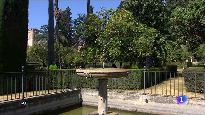 Naranjas de Sevilla para Buckingham Palace