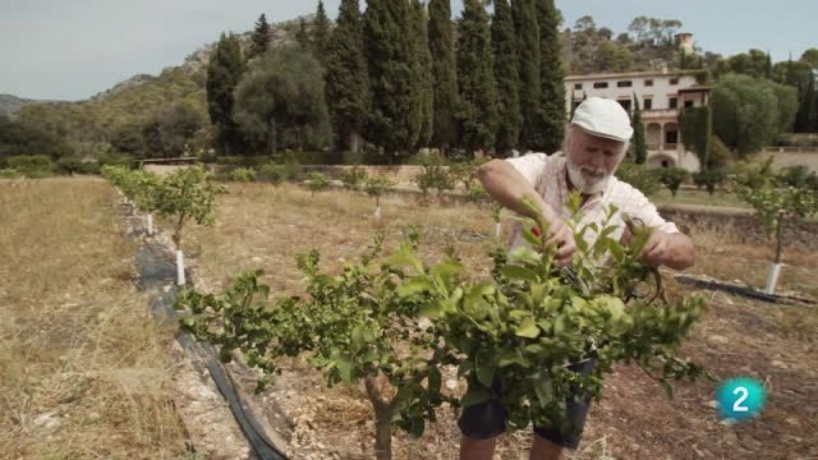 Jardines con Historia - El banco de germoplasma del IRFAP