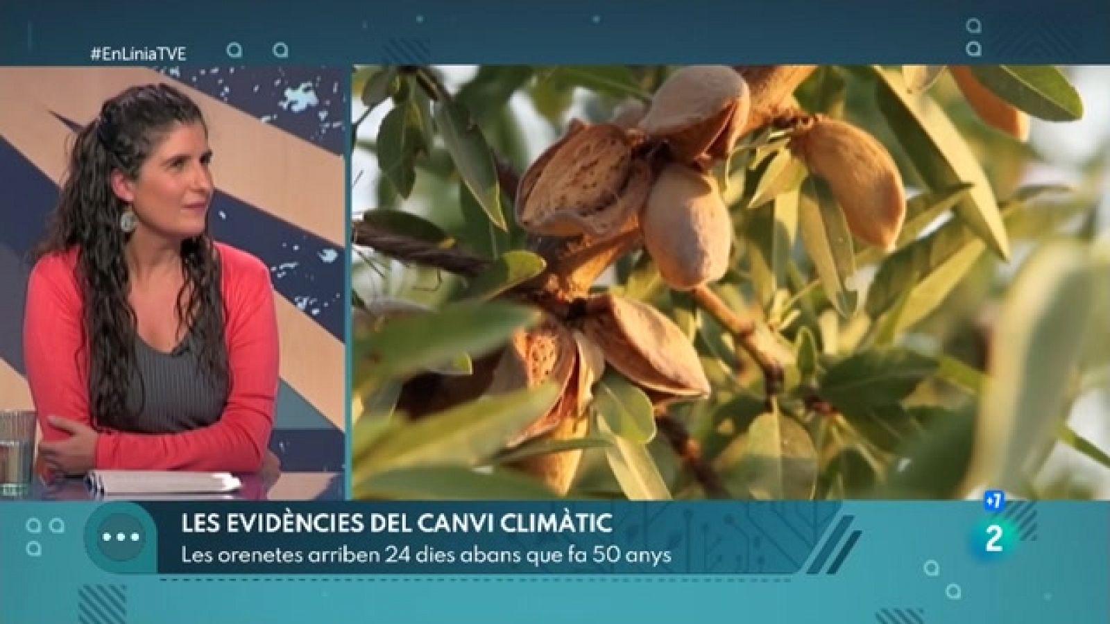 Com afecta el canvi climàtic a les plantes i als animals? | En Línia - RTVE Catalunya