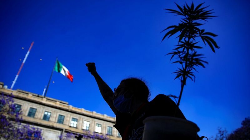 México da un paso más hacia la legalización del uso recreativo de la marihuana
