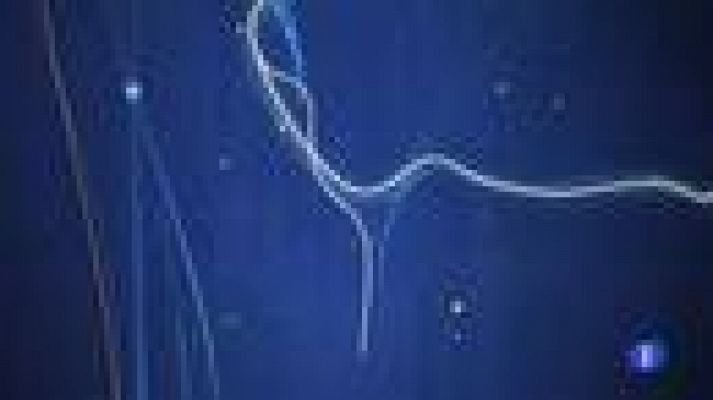 Noticias Murcia - Región de Murcia en 2 ''   12/03/21