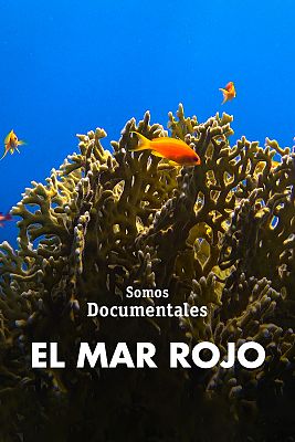 El Mar Rojo