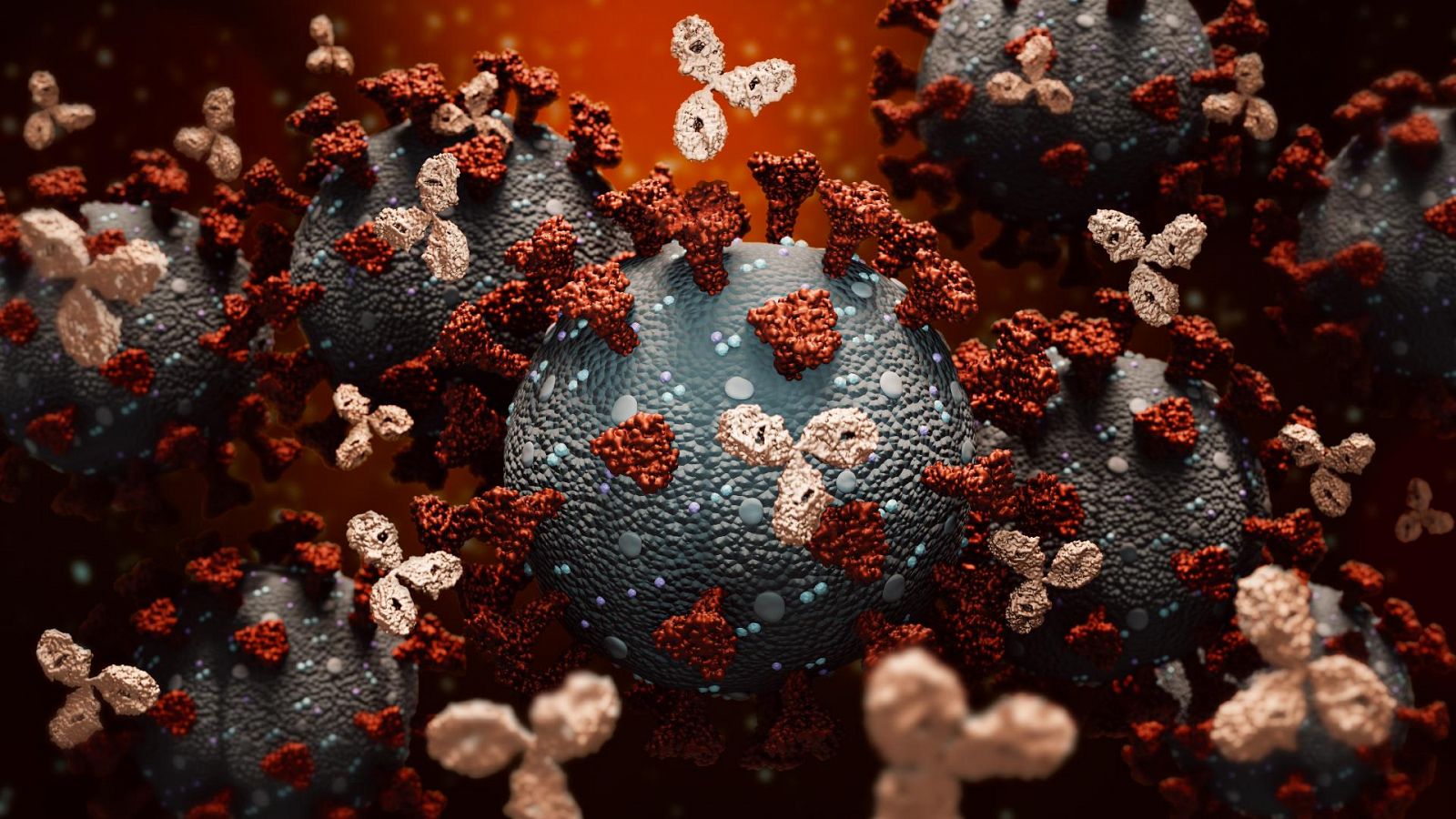 Los 'anticuerpos clonados' como alternativa a las vacunas