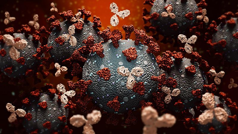 Los 'anticuerpos clonados' como alternativa a las vacunas